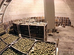 12 ton Apple containers